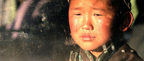 “Шарга даага” киног 100 гаруй хүүхдэд үнэ төлбөргүй үзүүлнэ